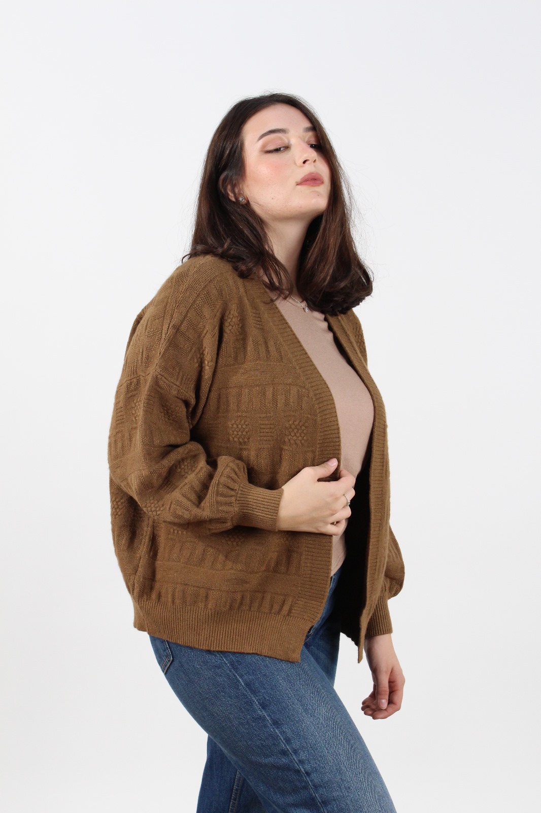 240578camel (4)
